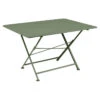 Table De Jardin 6 Personnes FERMOB Cargo 128 X 90 Cm - Cactus -Jardin Meubles Soldes Boutique cargo 128x90 cactus 1