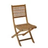 Chaise De Jardin En Bois Pliante ALIZE Saturne 1 Chaise De Jardin En Bois Pliante ALIZE Saturne -Jardin Meubles Soldes Boutique chaise jardin pliante alize saturne